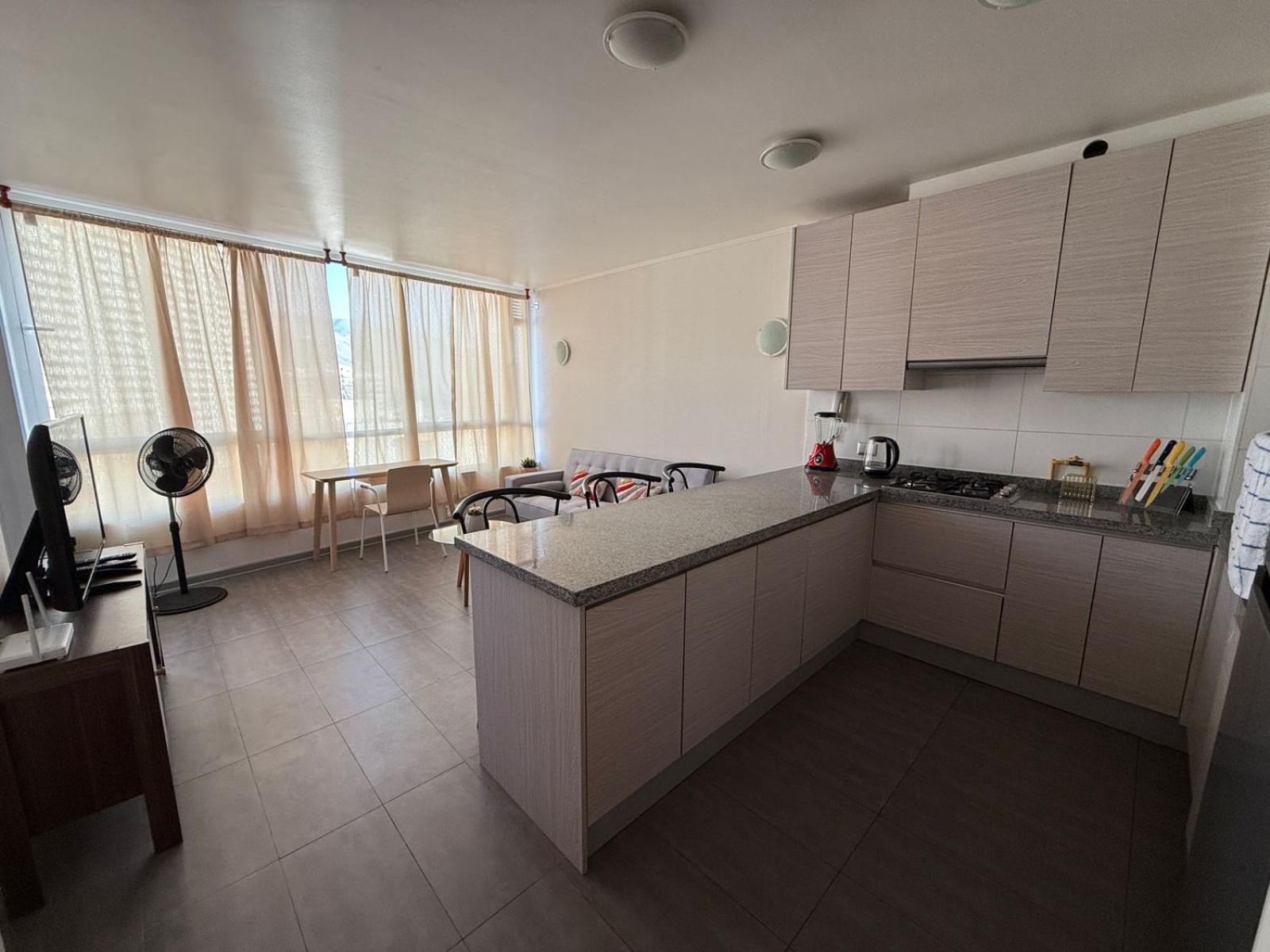 Apartamento Hermoso Departamento En Playa Brava Iqq